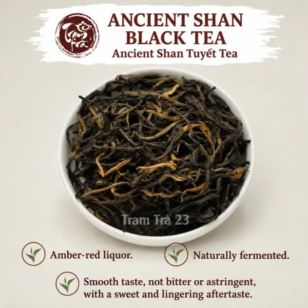 Ancient Shan Black Tea – Naturally Fermented Ancient Shan black tea with amber-red liquor, naturally fermented leaves and a smooth sweet aftertaste