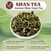 Ancient Shan Tuyet Green Tea from Vietnam Ancient Shan Tuyet green tea from Vietnam with golden honey-yellow liquor and smooth mellow taste