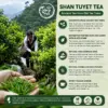 Ancient Shan Tuyet Tea from Vietnam’s Highlands Ancient Shan Tuyet tea harvested from highland tea trees with silver-down buds and honey-yellow liquor