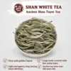 Ancient Shan Tuyet White Tea Ancient Shan Tuyet white tea with large silver-covered buds and a clear pale golden infusion