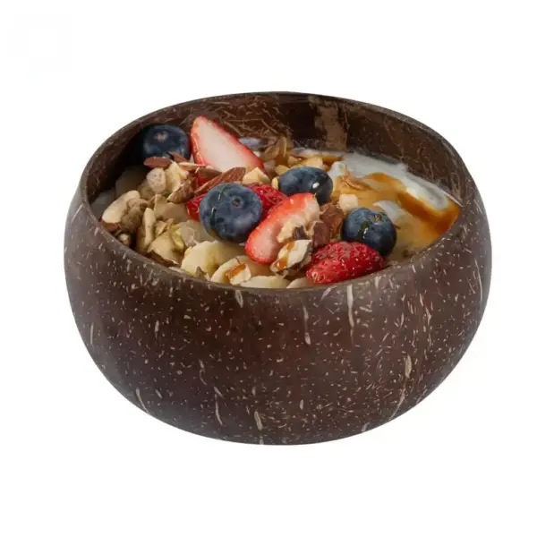 Coconut Shell Bowl with Yogurt and Fresh Fruit Natural coconut shell bowl filled with yogurt, granola, strawberries, blueberries and nuts