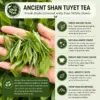 Fresh Ancient Shan Tuyet Tea Buds Fresh ancient Shan Tuyet tea buds covered with fine silver-white down in a tea grower’s hand