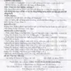 Golden Star Balm 16g Danapha – Safety and Storage Instructions Vietnamese safety, contraindication and storage instructions for Golden Star Balm 16g by Danapha