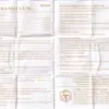Golden Star Balm OPC instruction leaflet with ingredients directions and warnings