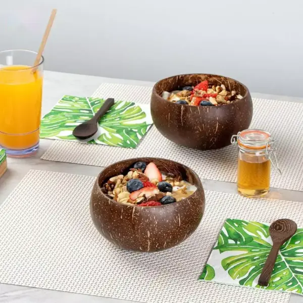 Natural Coconut Shell Bowls on Breakfast Table Two natural coconut shell bowls filled with yogurt, granola and fresh berries on a breakfast table