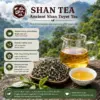 Shan Tuyet Green Tea with Honey-Yellow Liquor Shan Tuyet green tea with honey-yellow liquor, loose tea leaves and a glass teapot on a natural stone surface
