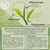 Shan Tuyet White Tea Bud Grades Shan Tuyet white tea bud grades comparing one bud one leaf and one bud two leaves
