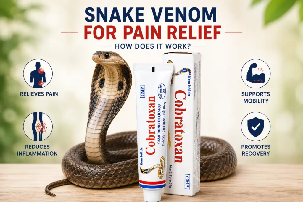Snake Venom for Pain Relief: How Does It Work?