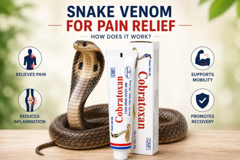 Snake Venom for Pain Relief: How Does It Work?